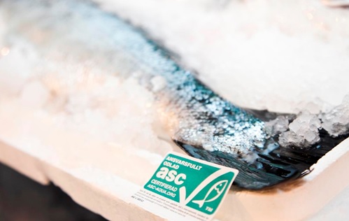 Seafood Watch Recognizes ASC Certified Salmon Standard as at Least a Good Alternative
